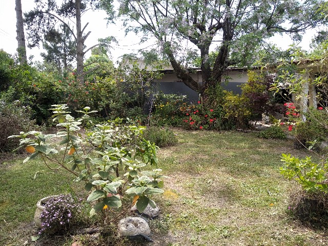 CASA EN PARQUE DEL PLATA SUR